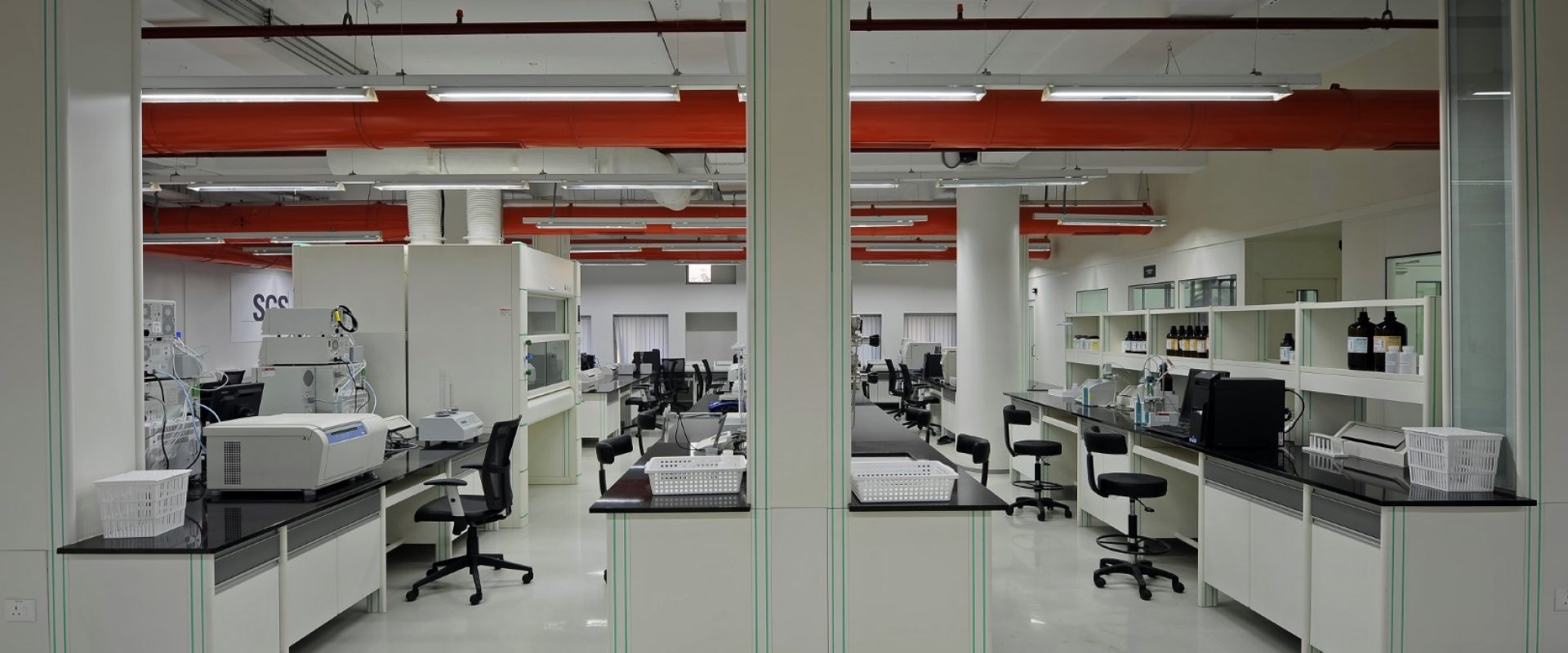 lab